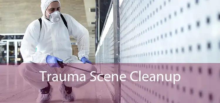 Trauma Scene Cleanup