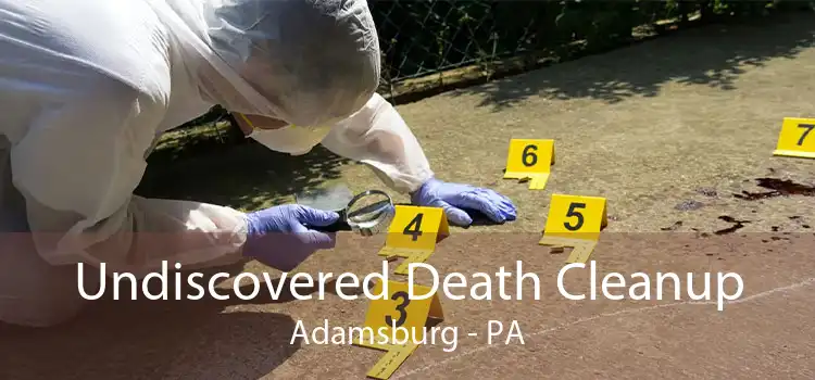 Undiscovered Death Cleanup Adamsburg - PA