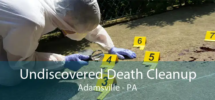 Undiscovered Death Cleanup Adamsville - PA