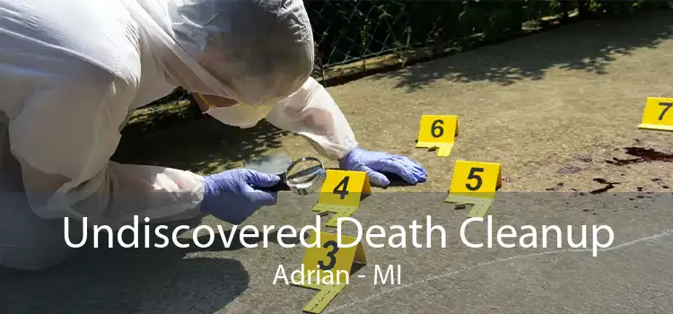 Undiscovered Death Cleanup Adrian - MI