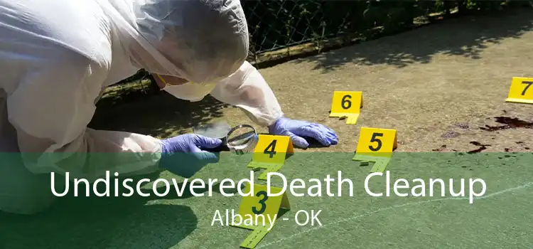 Undiscovered Death Cleanup Albany - OK