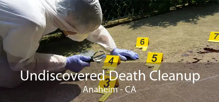 Undiscovered Death Cleanup Anaheim - CA