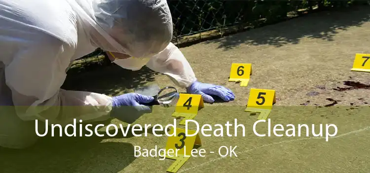 Undiscovered Death Cleanup Badger Lee - OK