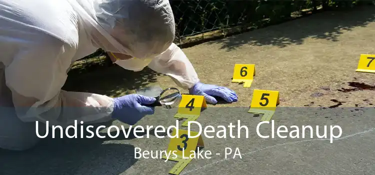 Undiscovered Death Cleanup Beurys Lake - PA