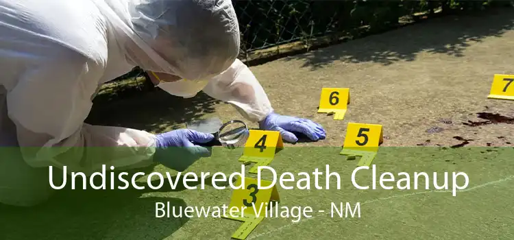 Undiscovered Death Cleanup Bluewater Village - NM