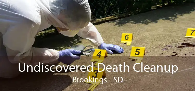Undiscovered Death Cleanup Brookings - SD