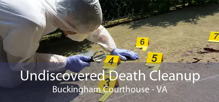 Undiscovered Death Cleanup Buckingham Courthouse - VA