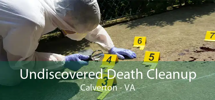 Undiscovered Death Cleanup Calverton - VA