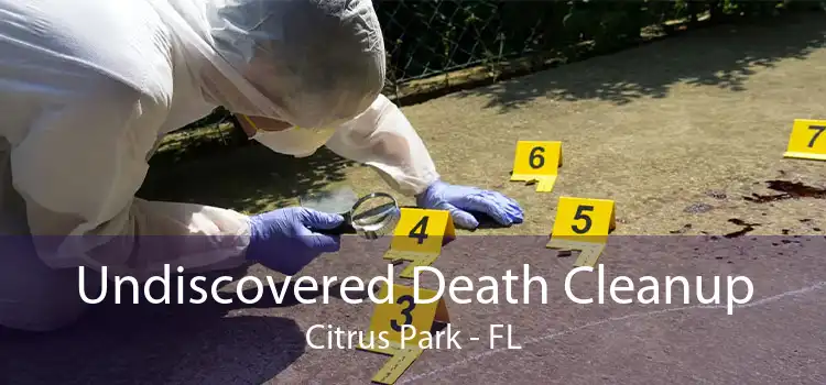 Undiscovered Death Cleanup Citrus Park - FL