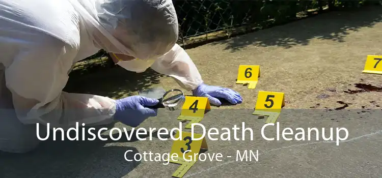 Undiscovered Death Cleanup Cottage Grove - MN