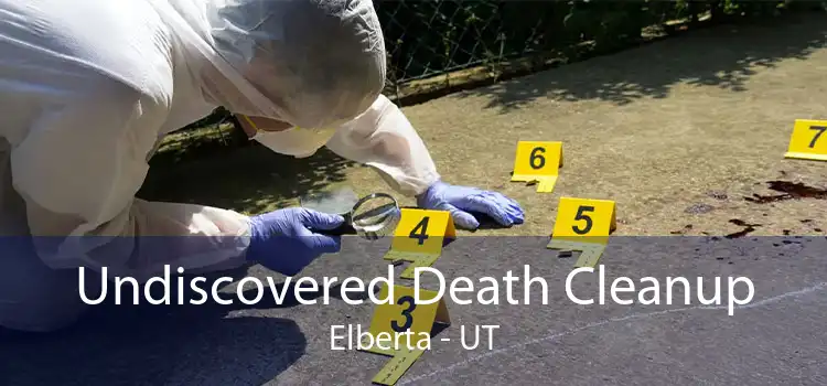 Undiscovered Death Cleanup Elberta - UT