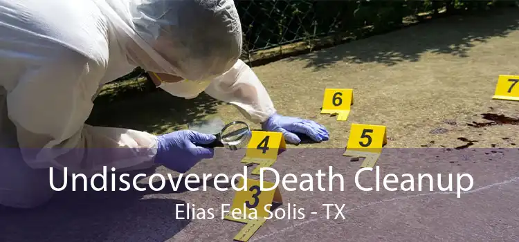 Undiscovered Death Cleanup Elias Fela Solis - TX