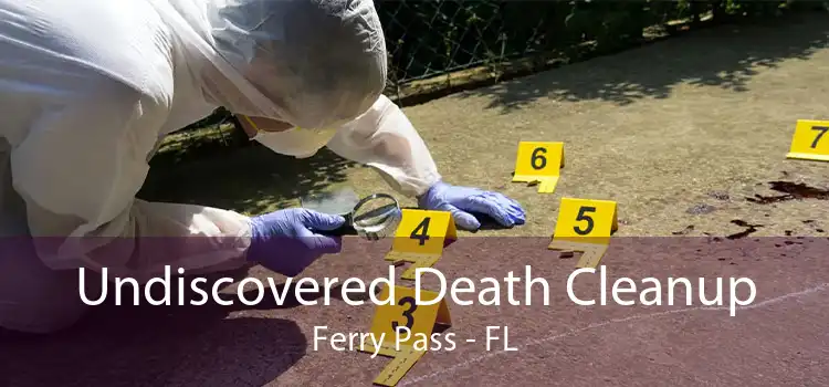 Undiscovered Death Cleanup Ferry Pass - FL