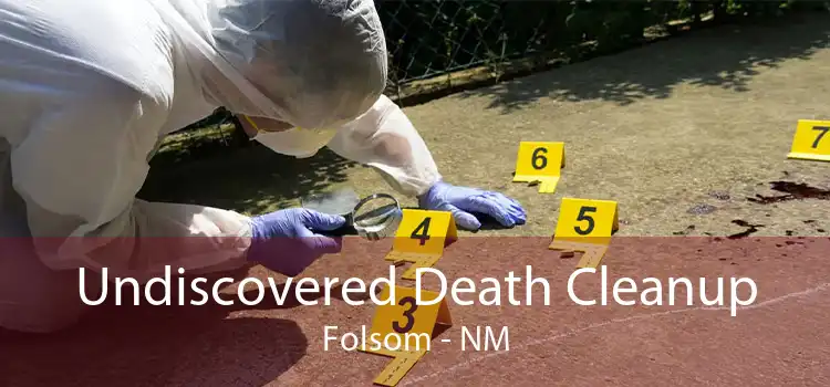 Undiscovered Death Cleanup Folsom - NM