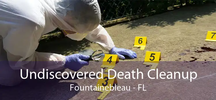 Undiscovered Death Cleanup Fountainebleau - FL