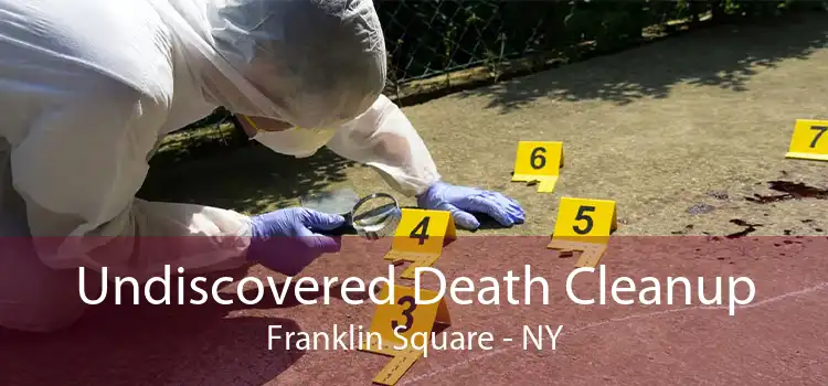 Undiscovered Death Cleanup Franklin Square - NY