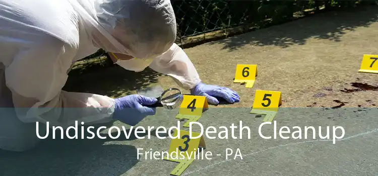 Undiscovered Death Cleanup Friendsville - PA