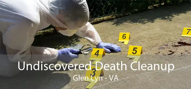 Undiscovered Death Cleanup Glen Lyn - VA