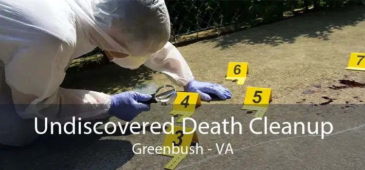 Undiscovered Death Cleanup Greenbush - VA