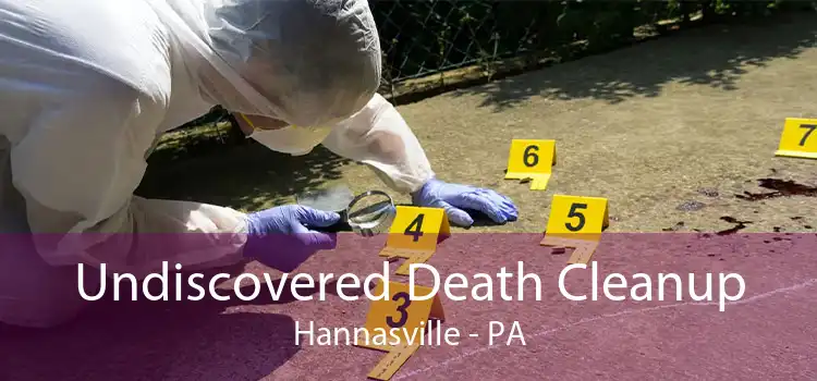 Undiscovered Death Cleanup Hannasville - PA