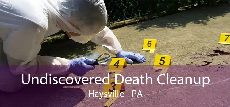 Undiscovered Death Cleanup Haysville - PA