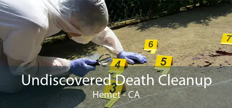 Undiscovered Death Cleanup Hemet - CA