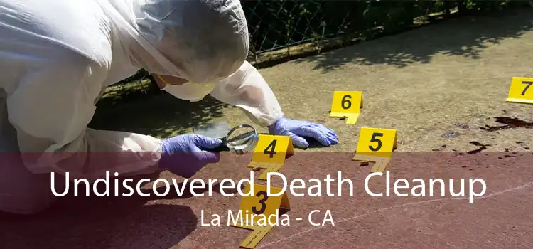 Undiscovered Death Cleanup La Mirada - CA