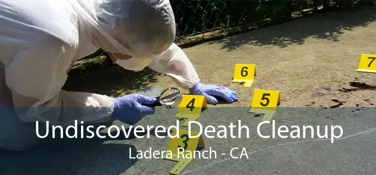 Undiscovered Death Cleanup Ladera Ranch - CA