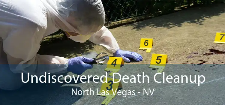 Undiscovered Death Cleanup North Las Vegas - NV