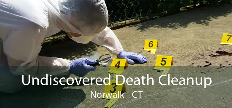 Undiscovered Death Cleanup Norwalk - CT