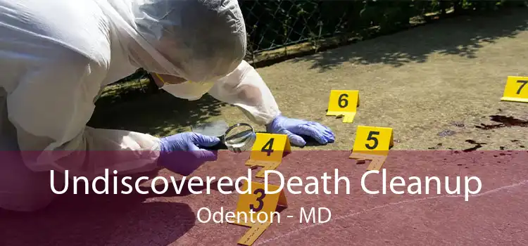 Undiscovered Death Cleanup Odenton - MD