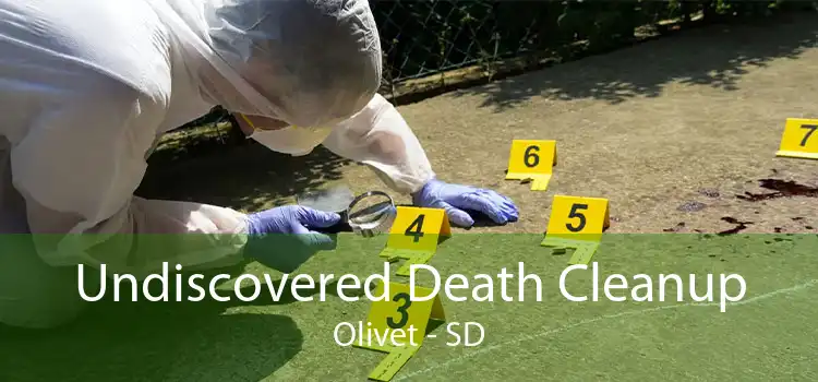Undiscovered Death Cleanup Olivet - SD