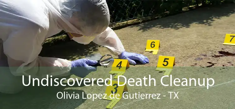 Undiscovered Death Cleanup Olivia Lopez de Gutierrez - TX