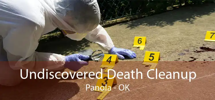 Undiscovered Death Cleanup Panola - OK