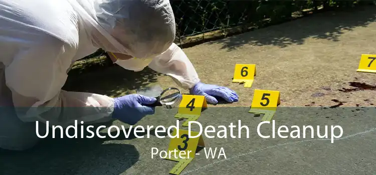 Undiscovered Death Cleanup Porter - WA