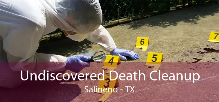 Undiscovered Death Cleanup Salineno - TX