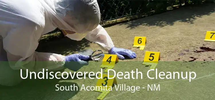 Undiscovered Death Cleanup South Acomita Village - NM
