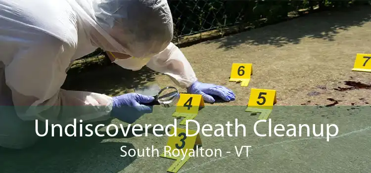 Undiscovered Death Cleanup South Royalton - VT