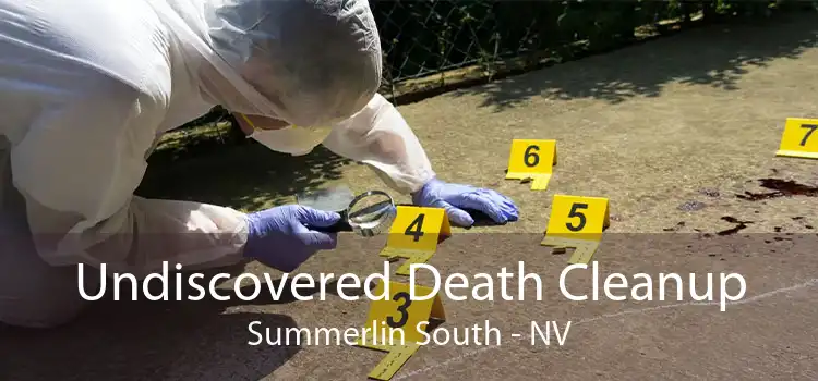 Undiscovered Death Cleanup Summerlin South - NV