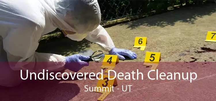Undiscovered Death Cleanup Summit - UT