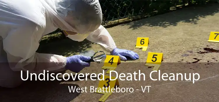 Undiscovered Death Cleanup West Brattleboro - VT