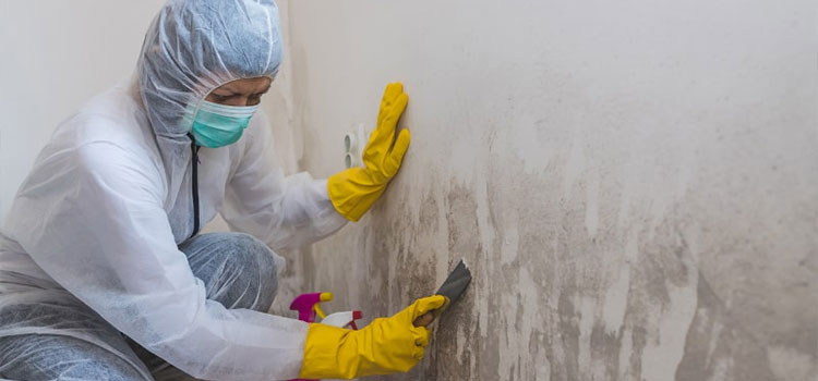 Trauma Scene Cleanup Disinfection in Amorita, OK